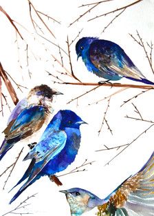 https://www.etsy.com/browse/art/painting/watercolor/2/?ship_to=EG Watercolor Bird Paintings, Purple Martin, Painting Purple, Bird Paintings, Watercolor On Paper, Watercolor Bird, Etsy Art, Art Pages, Birds Painting