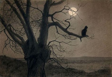 Steinlen 'Chat au Clair de Lune' (Cat in the moonlight) c. 1900 | Flickr - Photo Sharing! Caspar David Friedrich, Art Et Illustration, Art And Illustration, Pics Art, Crazy Cats, A Tree, Cat Art, Graphic Designer, A Black