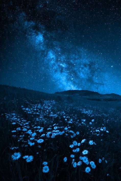 Starry Forest Aesthetic, Beautiful Night Sky Aesthetic, Cool Landscapes Photography, Breath Of Fresh Air Aesthetic, Blue Hour Background, Dark Blue Night Aesthetic, Dark Blue Vibes Aesthetic, Dark Blue Sky Aesthetic, Dark Blue Nature Aesthetic