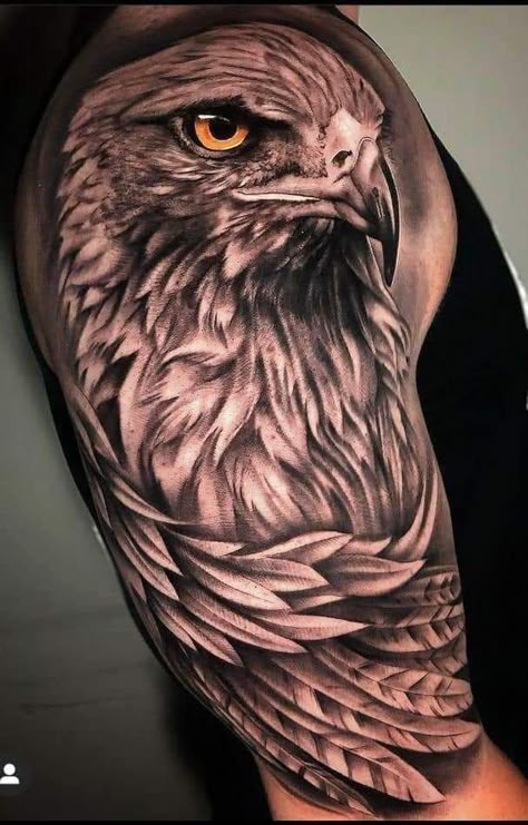 215+ Hawk Tattoos Ideas and Designs (2023) - TattoosBoyGirl Tattoo For Boys, Eagle Shoulder Tattoo, Eagle Head Tattoo, Bald Eagle Tattoos, Falcon Tattoo, Bird Tattoo Sleeves, Bird Tattoo Men, Hawk Tattoo, Animal Sleeve Tattoo