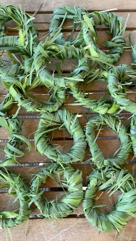 theokraladyllc on Instagram: I made more lemongrass tea rings today. I will use these in my soups, broth and teas. I researched that properly stored, dried lemon… Dried Lemongrass Uses, Tea Wreath, Lemongrass Plant, Herbal Remedies Recipes, Tea Ring, Lemongrass Tea, Dried Lemon, Juicy Fruit, Herb Garden