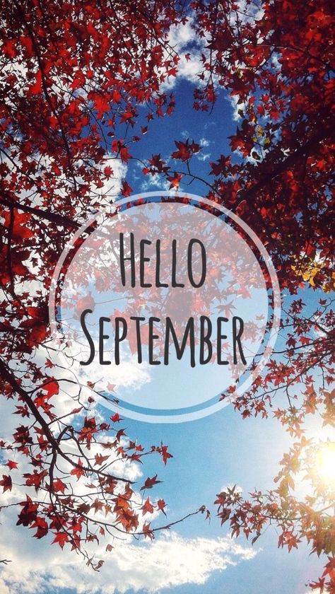 Hello September phone wallpaper Hello September Images, Fall Wallpaper Tumblr, September Pictures, September Images, Neuer Monat, September Wallpaper, When September Ends, Welcome September, Hello September