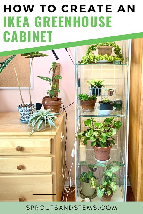 Ikea Baggebo Greenhouse, Detolf Greenhouse, Ikea Detolf Greenhouse, Ikea China Cabinet, Ikea Detolf, Succulent Planter Diy, Florida Gardening, Plant Care Houseplant, Plant Problems