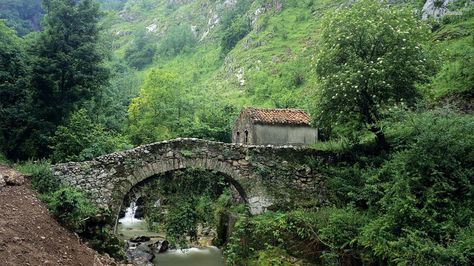 Old stone bridge over the mountain river Landscape Wallpapers, Bridge Wallpaper, Stone Cabin, Old Bridges, Asturias Spain, Northern Spain, Mountain Stream, Stone Bridge, Jungle Wallpaper