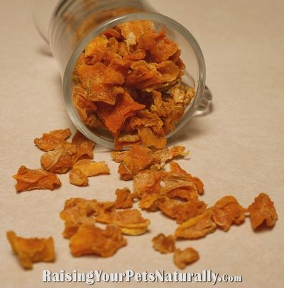 butternuttreatsfordogs Butternut Squash Dog Treats, Squash Dog Treats, Benefits Of Butternut Squash, Butternut Squash Recipes Healthy, Butternut Squash Benefits, No Bake Dog Treats, Butternut Squash Recipe, Healthy Butternut Squash, Dog Treat Recipe