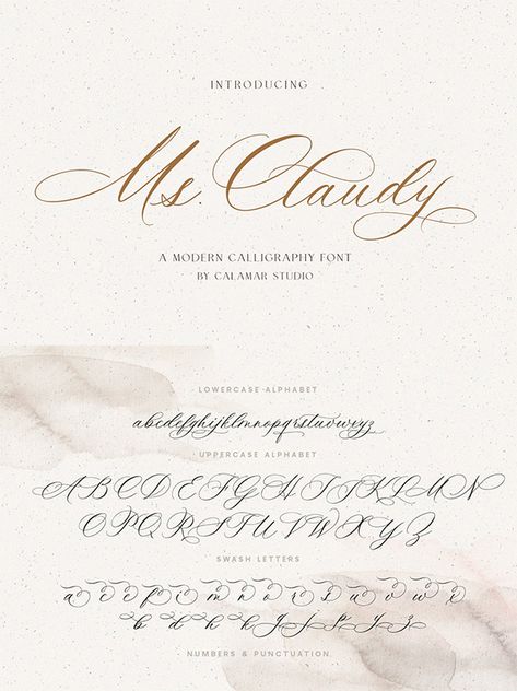 Best Handwritten Fonts, Beautiful Handwriting Fonts, Wedding Fonts Calligraphy, Cool Handwriting Fonts, Calligraphy Fonts Alphabet, Free Handwritten Fonts, Fonts Script, Brush Script Fonts, Invitation Fonts