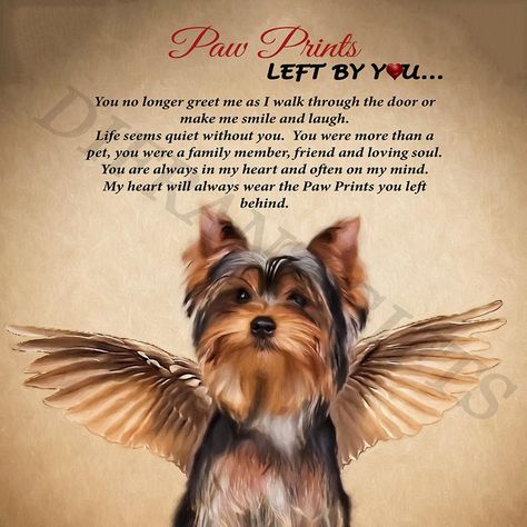 Loss Of Pet, Dog Hotel, Yorkie Moms, Yorkie Terrier, Yorkie Lovers, Dog Heaven, Silky Terrier, Teacup Yorkie, 강아지 그림