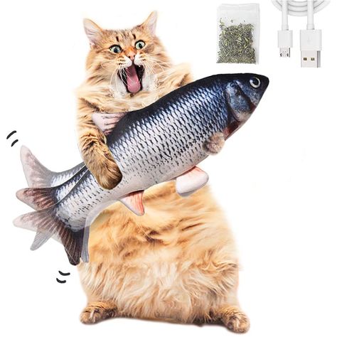 Fish Toy For Cats, Best Kitten Toys, Cat With Fish, Fish Funny, Cat And Fish, Cool Cat Toys, Cat Entertainment, Fish Toy, Kitten Beds