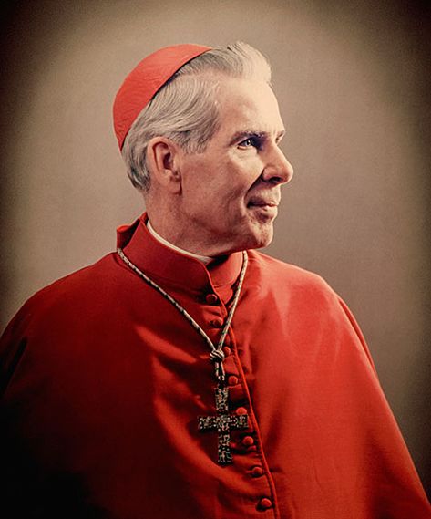 Bishop Sheen, Catholic Devotions, Fulton Sheen, City Of God, Daily Quote, Daughters Of The King, Light Of The World, Roman Catholic, Catholic Faith