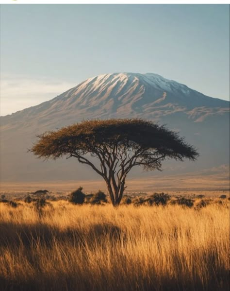 Mount Kilimanjaro Painting, Africa Safari Aesthetic, Savana Landscape, Africa Travel Aesthetic, Aesthetic Geography, Tanzania Aesthetic, Tanzania Kilimanjaro, African Mountains, Voyage Aesthetic