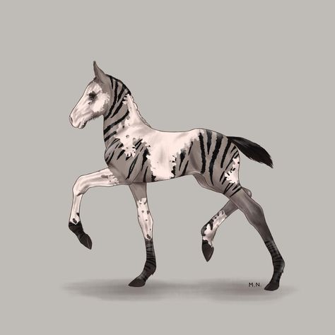 Zebra Horse Hybrid, Horse Base Drawing, Horse Adopts, Horse Poses Reference, Horse Oc Art, Horse Oc, Horse Base, Horse Art Ideas, Mythical Creature Art