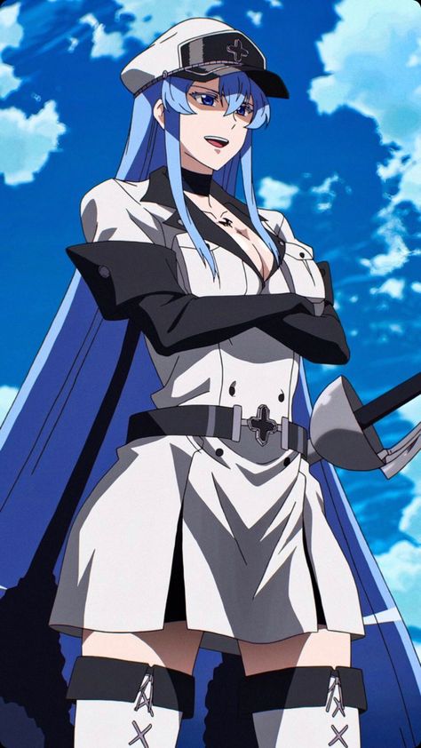 Akame Ga, Ice Queen, The Ice, Blue Hair, Anime Character, Iphone Wallpaper, Queen, Iphone, Books