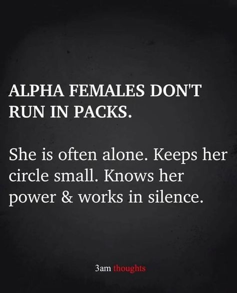 Small Circle Quotes, Alpha Female Wolf, Alpha Female Quotes, Alpha Quote, Alpha Females, Circle Small, Circle Quotes, Small Quotes, Alpha Female