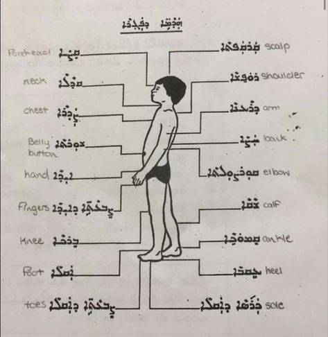 #Assyrian #language #syriac #aramaic #akkadian #mesopotamia Assyrian Tattoo, Assyrian Culture, Medu Neter, Syriac Language, Aramaic Language, George Washington Carver, Alchemic Symbols, Becoming A Teacher, Witchy Stuff