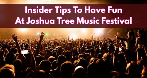 Insider Tips To Have Fun At Joshua Tree Music Festival The Joshua Tree, Festival 2023, Joshua Tree, Music Festival, Have Fun, Entertainment, Festival, Let It Be, Music