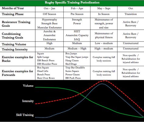 THE FOUR PHASES OF TRAINING PERIODIZATION FOR RUGBY UNION. (THE ABOVE SEASON DATES ARE BASED ON THE SOUTH AFRICAN RUGBY SEASON) Rugby Workout Training, Rugby Muscle, Rugby Workout, South African Rugby, Rugby Training, Strength And Conditioning, Muscular Endurance, Strength Conditioning, Muscle Training