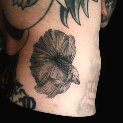 Berta Fish Tattoo, Fish Tattoo Drawing, Black Betta Fish, Fish Tattoo Traditional, Beta Fish Tattoo, Betta Tattoo, Betta Fish Tattoo, Fish Tattoo Design, Female Betta