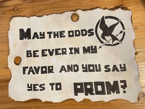 Hunger Games Hoco Proposal, Hunger Games Promposal, Response Posters, Dance Signs, Prom Poster, Hoco Posters, Cute Hoco Proposals, Homecoming Poster Ideas, Cute Promposals