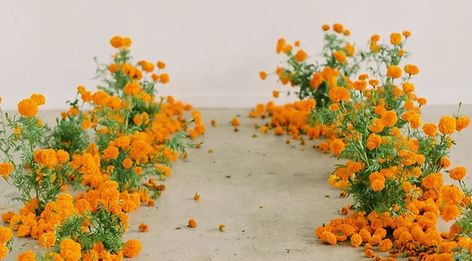 Marigold Aisle Orange Bougainvillea Wedding, Ground Floral Installation, Marigold Wedding Flowers, Siren Floral Co, Marigold Wedding, Floral Installation, Aisle Flowers, Marigold Flower, Orange Wedding