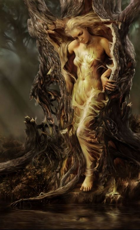 Tree Spirit, Mythological Creatures, Mystical Creatures, Arte Fantasy, Magical Creatures, Gods And Goddesses, Fantasy Artwork, Tree Art, Greek Mythology