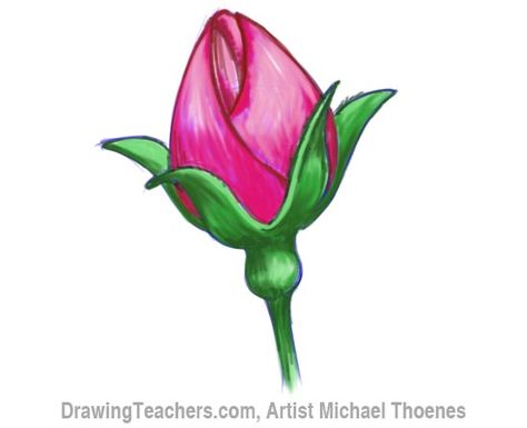 How to Draw a Rosebud Rosebud Drawing, Draw A Rose, Scrollsaw Patterns, Appliqué Flowers, Rose Drawing Tattoo, Arte Aesthetic, Fall Drawings, Pencil Sketching, Flower Drawing Tutorials