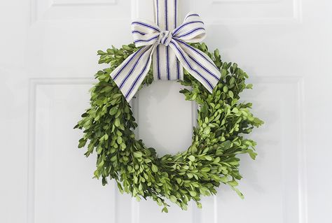 Boxwood Wreath Front Door, Boxwood Wreaths, Fresh Wreath, Christmas Tablescape, Boxwood Wreath, Diy Fall Wreath, Festive Holiday Decor, Green Wreath, Hanging Wreath