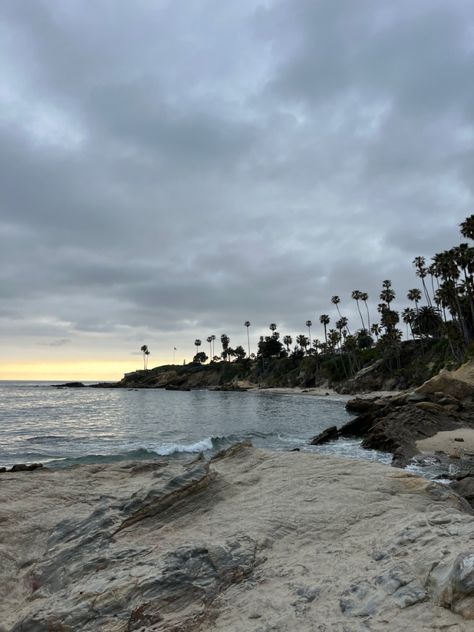 palm trees ocean beach sea anaheim laguna beach CA california 2023 trending trendy aesthetic nature earth pretty sunset pretty cool Palm Tree Beach, Anaheim Aesthetic, Beach California, Anaheim California Aesthetic, Cali Pics, California Anaheim, Los Angeles Aesthetic Beach, Laguna Beach Aesthetic, Long Beach California Aesthetic