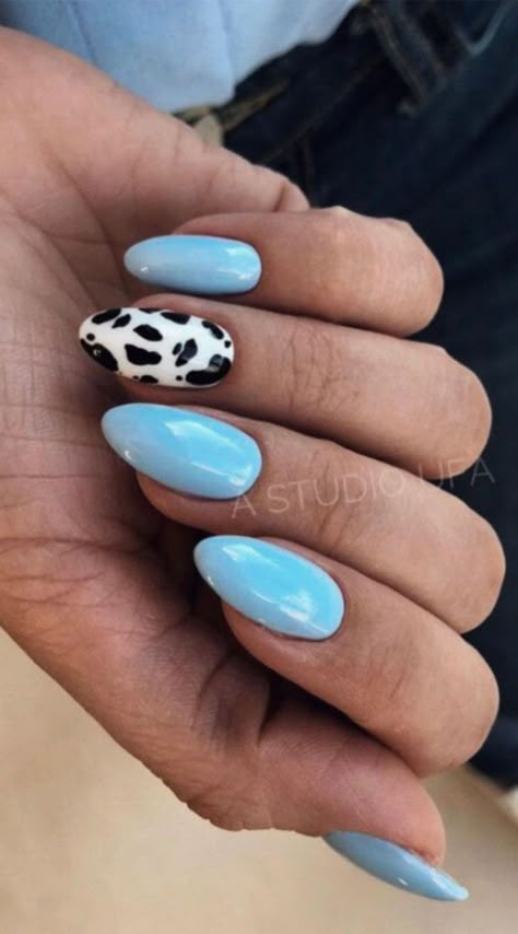 Cow Print And Blue Nails, Cow Print Nails With Blue, Blue Nails With Cow Print, Blue Nails Cow Print, Baby Blue Oval Nails, Cow Print Nails Blue, Blue Western Nails, Blue Cow Nails, Nail Designs Cow Print