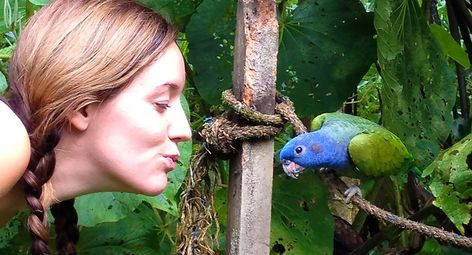 Aves en el Centro de Rescate Parrot, Animals