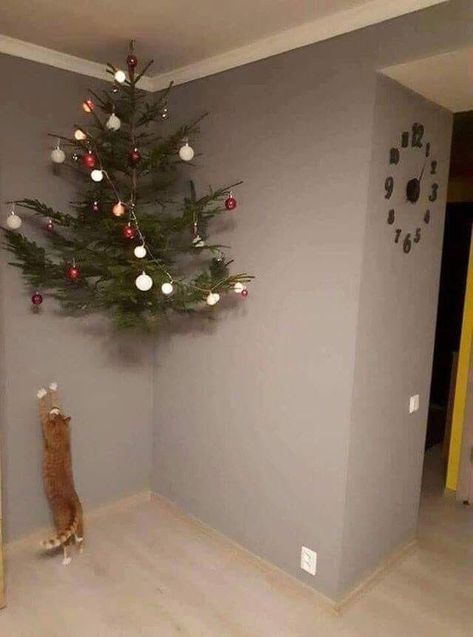 Cat proof Christmas Tree Memes Of The Day, Funny Animal Memes, Funny Animal Pictures, Cat Stuff, Crazy Cat, Crazy Cat Lady, Animal Memes, Christmas Cats, Makes Me Laugh