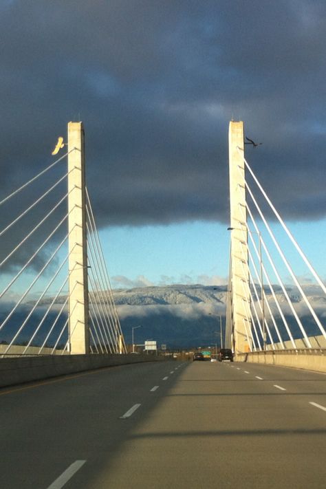 Golden Ears Bridge - Langley to Maple Ridge/Pitt Meadows Lady Hamilton, Fraser River, Maple Ridge, Snow Caps, Bc Canada, Places Of Interest, Whistler, Pacific Ocean, Golden Gate Bridge