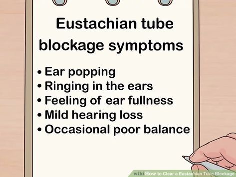 3 Ways to Clear a Eustachian Tube Blockage - wikiHow How To Clear Eustachian Tubes, Eustachian Tube Drainage, How To Unplug Ears, Unclog Ears, Eustachian Tube Dysfunction, How To Pop Ears, On An Airplane, Hearing Loss, Felt