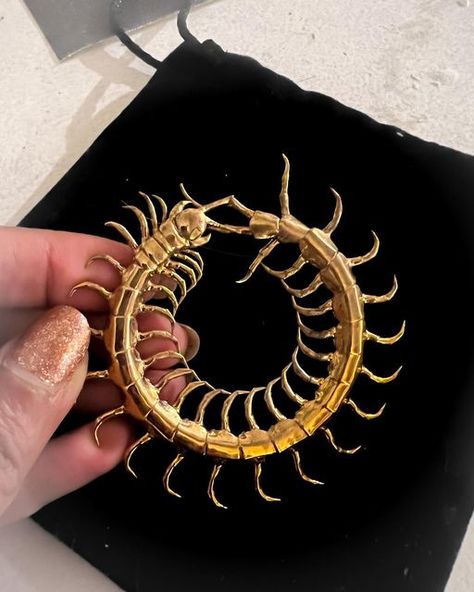 Divya — Gotham Taxidermy on Instagram: "A few years ago I hold leafed a centipede and someone told me to turn it into jewelry. Thanks Cubo Designs 3D scanning and modeling, and @shapeways 3D printing, that dream is becoming a reality! Still adjusting a few little things, but hope to have more updates soon!" Eye Centipede, Centipede Jewelry, Bugs Jewelry, Bug Pattern, Hair Horn, Taxidermy Jewelry, Bug Jewelry, Spiral Jewelry, Insect Wings