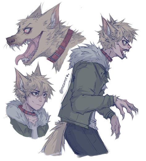 Wolf Drawing Anime, How To Draw Anime Wolf, Anime Werewolf, Wolf Oc Drawing, Wolf Bakugou, Bakugou Werewolf Fanart, Wolf Bakugou Fanart, Werewolf Oc, Wolf Hybrid Oc