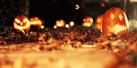 Halloween GIF - Halloween - Discover & Share GIFs Halloween Gif, The Boogeyman, Banner Gif, Halloween Banner, Samhain, Hallows Eve, On The Ground, Halloween Night, Holidays Halloween