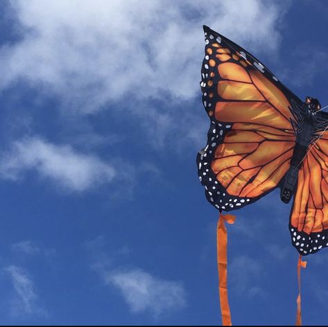 1 of 3 Spring Picnic, Kites, Aesthetically Pleasing