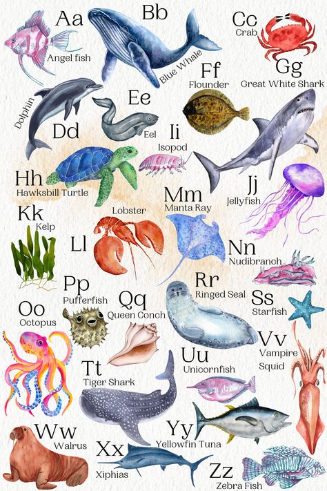 "This ocean-inspired alphabet poster will be the cutest addition to your nursery or playroom. Your child will love learning all about the different sealife encapsulated on this poster. You are purchasing a digital file for instant download. If you are wanting an actual poster, I have one available on my store page. This is made to be 24\"x36\"." Ocean Animals Poster, Sea Animal Poster, Ocean Posters, Oceanography Marine Biology, Animal Infographic, Biology Poster, Ocean Poster, Love Learning, Mermaid Aesthetic