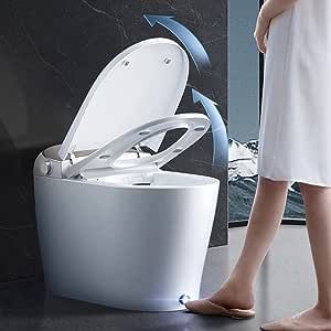 Integrated Toilet, Bidet Toilet Combo, Bathroom Night Light, Japanese Toilet, Smart Toilet, Bidet Toilet, Heated Seat, Flush Toilet, Ceiling Fan In Kitchen