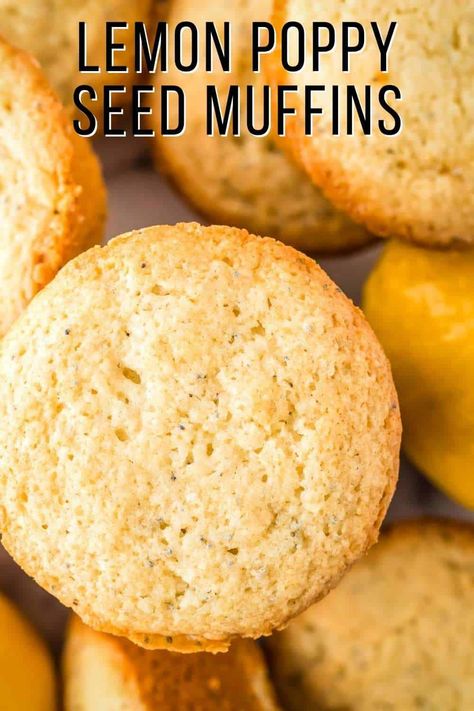 Make these Lemon Poppyseed Muffins and recreate a classic bakery treat with sweet and tangy flavors. Combine flour, sugar, eggs, and lemon juice for a moist, tender batter and speckle it with black poppy seeds. These muffins are perfect for breakfast or a sweet and satisfying snack and pair perfectly with a hot beverage like coffee or tea. #lemonpoppyseedmuffins #bakerystylemuffins #breakfastmuffinsrecipes #lemonpoppyseed #dizzybusyandhungry Muffins With Self Rising Flour, Lemon Poppy Seed Muffins Recipe, Poppyseed Muffins, Bakery Style Muffins, Poppy Seed Muffins, Lemon Poppyseed Muffins, Lemon Muffins, Black Poppy, Slices Recipes