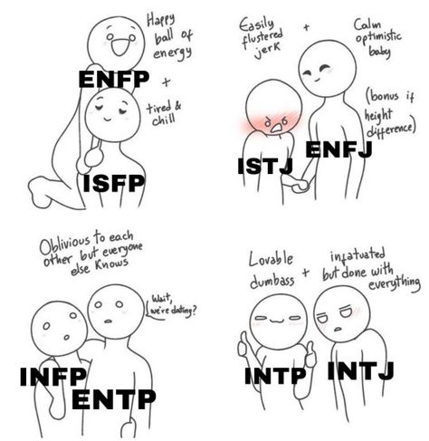 Istj Relationships, Mbti Istj, Intp T, Mbti Memes, Intp Personality, Intj Intp, Mbti Relationships, Myers Briggs Personality Types, Mbti Character