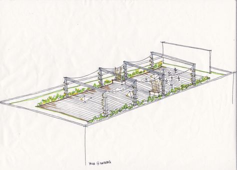 Nina's House study sketch 8: Rooftop garden for yoga/exercise in the morning - Hannah Razak Rooftop Yoga Space, Yoga Architecture, Exercise In The Morning, Rooftop Yoga, Garden Sketch, Morning Garden, Sketch Study, Yoga Space, Yoga Exercise