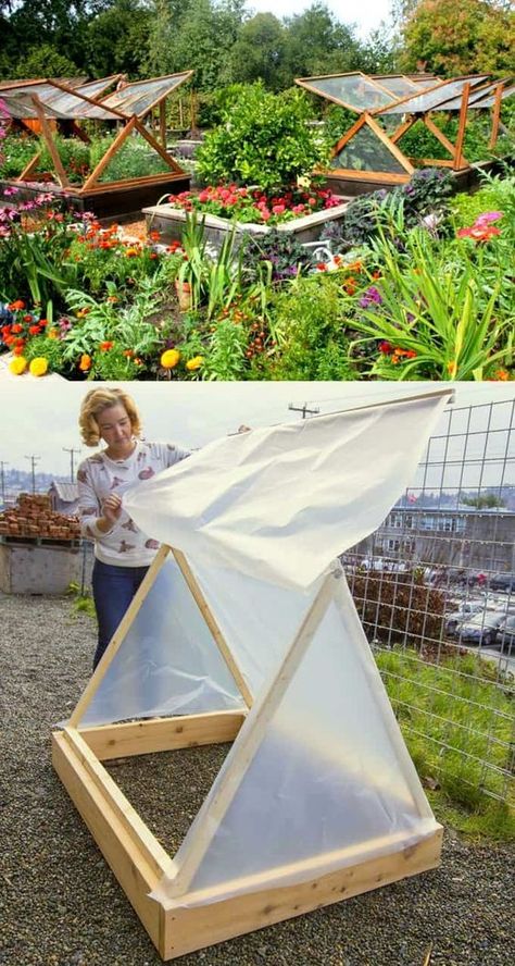 Diy Greenhouses, Plantarea Legumelor, Kebun Herbal, Garden Uk, Taman Diy, Build A Greenhouse, نباتات منزلية, Bamboo Garden, Greenhouse Plans