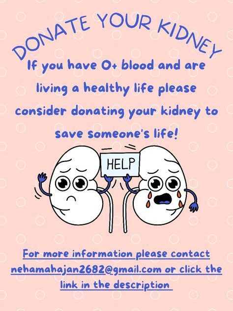 💚 *Urgent Kidney Donor Needed* 💚 Hi, my husband is suffering from last stage kidney disease and is in need of a urgent Kidney transplant. We have a little family with 2 kids 5yr and 11yr. We are strong and positive to live a long happy family life ; but we need your help! If you are living a healthy life and want to help to save someone's life by donating one of your kidneys. We all will be grateful for lifetime. Please whatsapp or message 07405222653 or email nehamahajan2682@gmail.com Family With 2 Kids, Happy Family Life, Kidney Donor, We Are Strong, Little Family, Living A Healthy Life, Be Grateful, Happy Family, Family Life