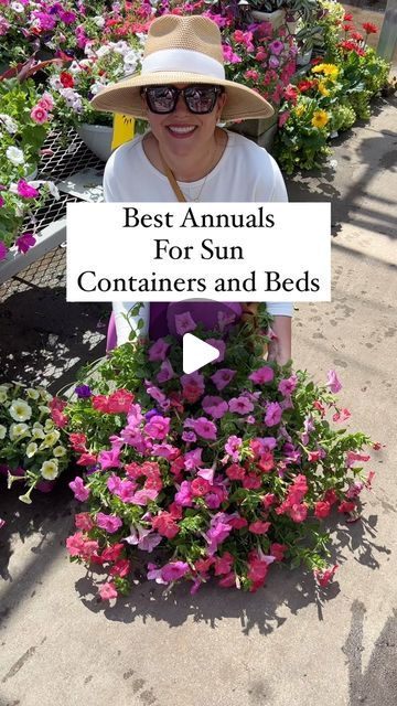 Carmen Johnston Gardens on Instagram: "Three of my favs 💚" Full Sun Container Plants, Wave Petunias, Window Box Plants, Outside Paint, Window Box Flowers, Full Sun Plants, Garden Urns, Planter Design, Sun Plants