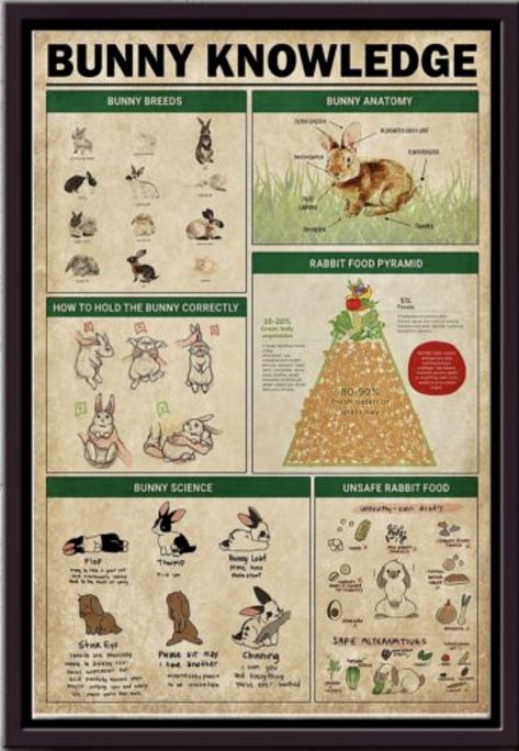 Rabbit Colony, Survival Skills Life Hacks, Tree House Designs, Food Pyramid, Gallery Wallpaper, Mini Farm, Cabin Plans, Pet Stuff, Skills To Learn