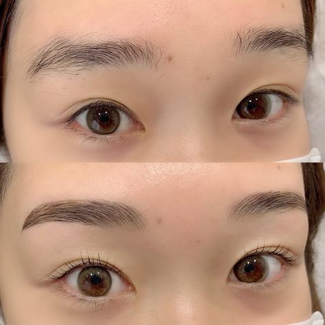 Honey Hair Color, Eyelash Lift, Eye Lift, Honey Hair, Lash Lift, Eyebrows, Eyelashes, Lashes, Honey