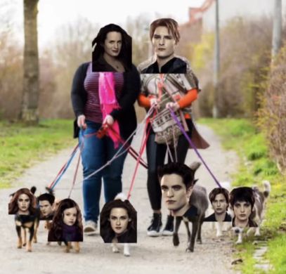 Funny Edward Cullen, Twilight Pfp Funny, Edward Twilight Funny, Twilight Reaction Pics, Twilight Cast Pictures, Twilight Funny Pictures, Group Chat Photo Ideas, Edward Cullen Funny, Walk Em Like A Dog