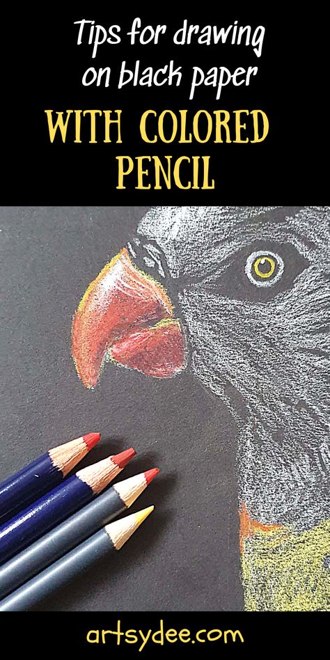 Colored Pencils On Black Paper, Coloring On Black Paper, Black Paper Art Colored Pencils, White Sketch On Black Paper, Color Pencil On Black Paper, Colored Pencil On Black Paper, Black Paper Art, Pencil On Black Paper, Colored Pencil Lessons