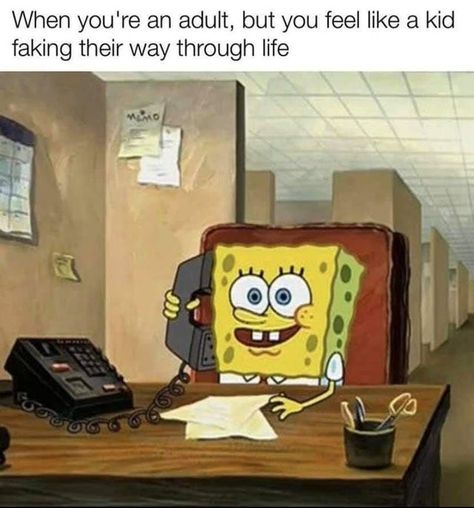 Feel Like, Funny Memes, Desk, Memes, Funny, Instagram