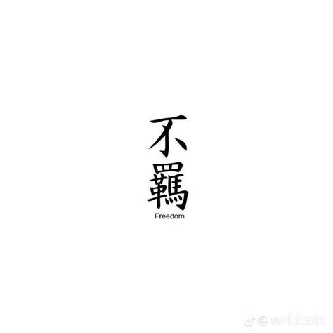 Freedom Chinese Tattoo, Japanese Freedom Tattoo, Freedom Tattoo Ideas, Japenses Tatoos Design Letters, Japanese Symbols And Meanings, Power In Japanese Tattoo, Japan Words Tattoo, Kanji Phrases Tattoo, Freedom Kanji Tattoo